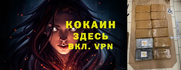 спайс Пересвет