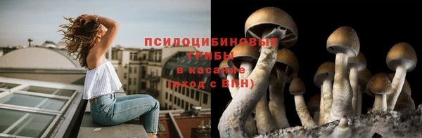 ALPHA PVP Осинники