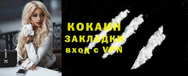 стафф Осташков