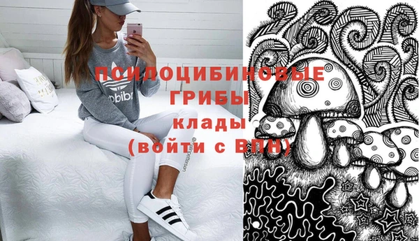 спайс Пересвет
