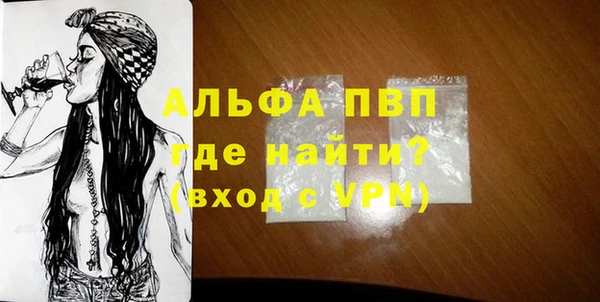 стафф Осташков