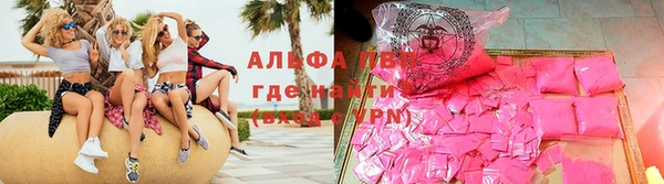 стафф Осташков