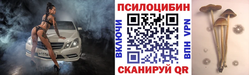 как найти закладки  Оса  Галлюциногенные грибы мухоморы 